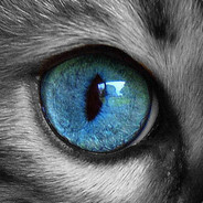 PALE PALE PALE SKUNA