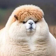 Beh avatar
