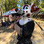 @Furry paws