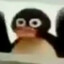 -pENGUIN