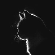 Young and stupid - steam id 76561198062224877