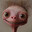MR. BINGUS