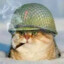 Soti Catuco