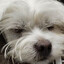 ZZZZZZJ