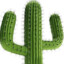 Dat1Cactus