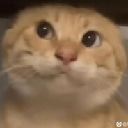 疯牛满地跑，农民傻了