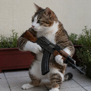 Gato Mamado