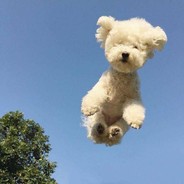 你又会记得我多久'