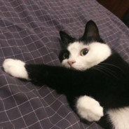 电子烟我只抽 悦刻V