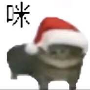 二哥回家导管子