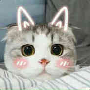 都坐下，基本操作