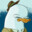 duckdetective85