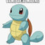 Sr. Squirtle