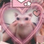 bingus