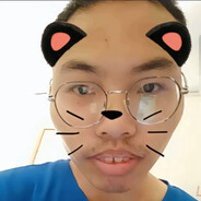 做你的猫