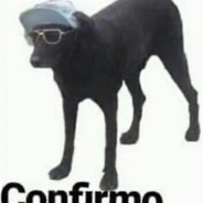 Confirmo