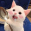 虾仁猪心