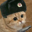 SER_ANDREI4
