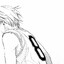 stray228