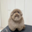 harry's avatar