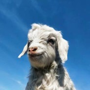 九日企业、小秘