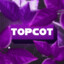 Topcot