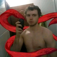 pipidaster