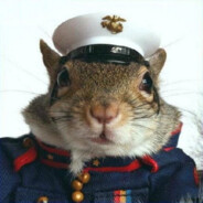 Captain Squirrel