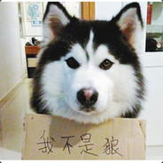 这游戏怎么玩啊