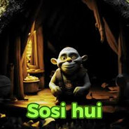 sosi_hui