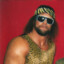 RandySavage