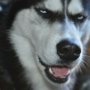 风竹教主
