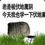 阿庆