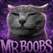 ADAŚ BOOBS