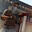 aliaskar_9595