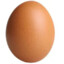 A Single Brown Egg