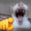 Tokito