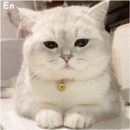 芗城最后的珂珂