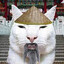 Chinezo