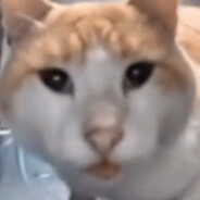Shingles Steam avatar
