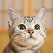 怎么可以这么帅