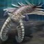 Anomalocaris canadenesis