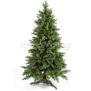 𝙉𝙊☠⍨ ⛔☣℗‰