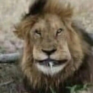 смерть в нищете