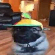 mingus