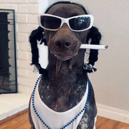 The Dawg