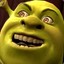 Shrek_v_Serdue