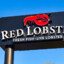 red lobster (open)