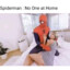 Spiderman No One Home