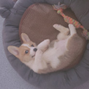 黑妹溜鬼下落不明